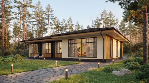 Дом из камня D-781