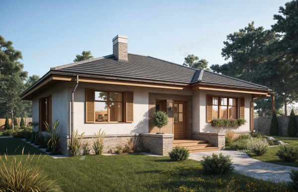 Дом из камня D-785