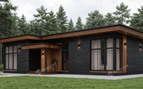 Дом из камня D-774