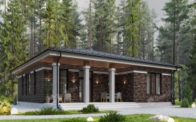 Дом из камня D-776