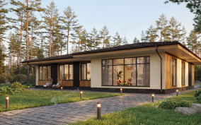 Дом из камня D-781